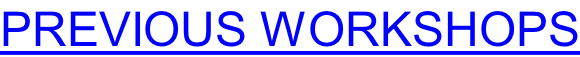 PREVIOUS WORKSHOPS
